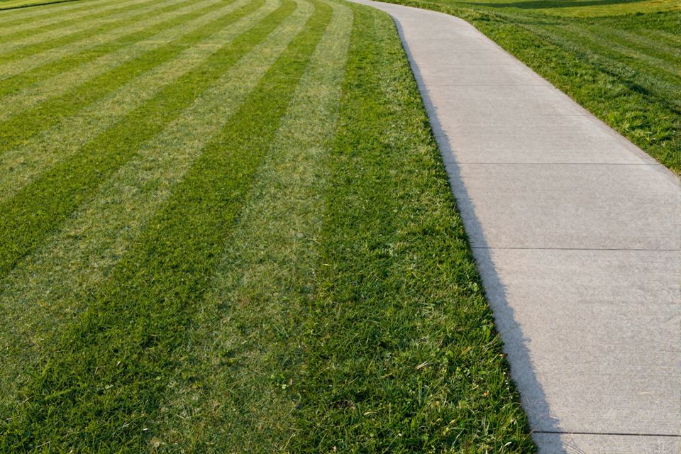 A freshly mown lawn in even light and dark stripes, cut right up to a clean concrete path